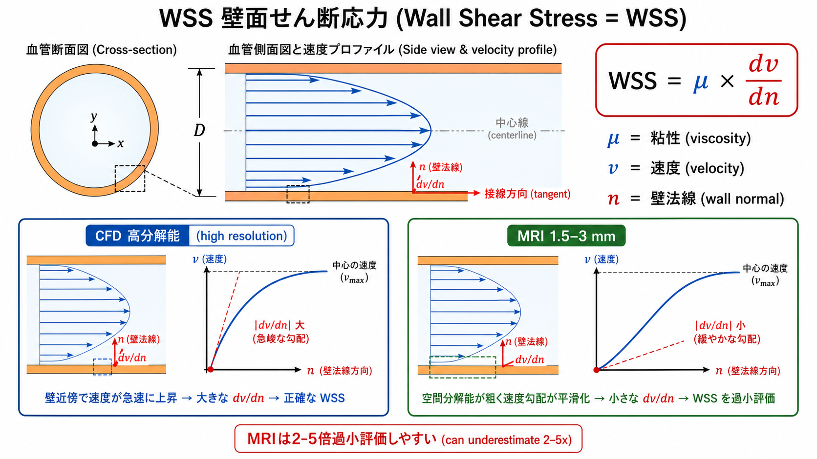 WSS wall shear stress
