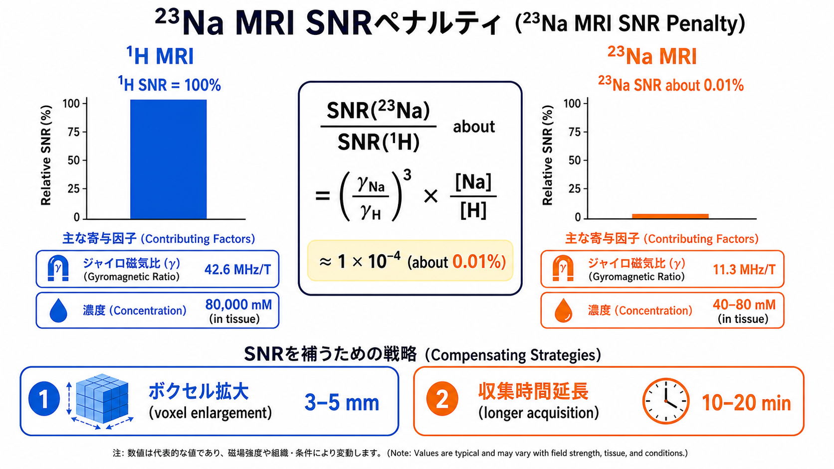 23Na MRI SNR penalty